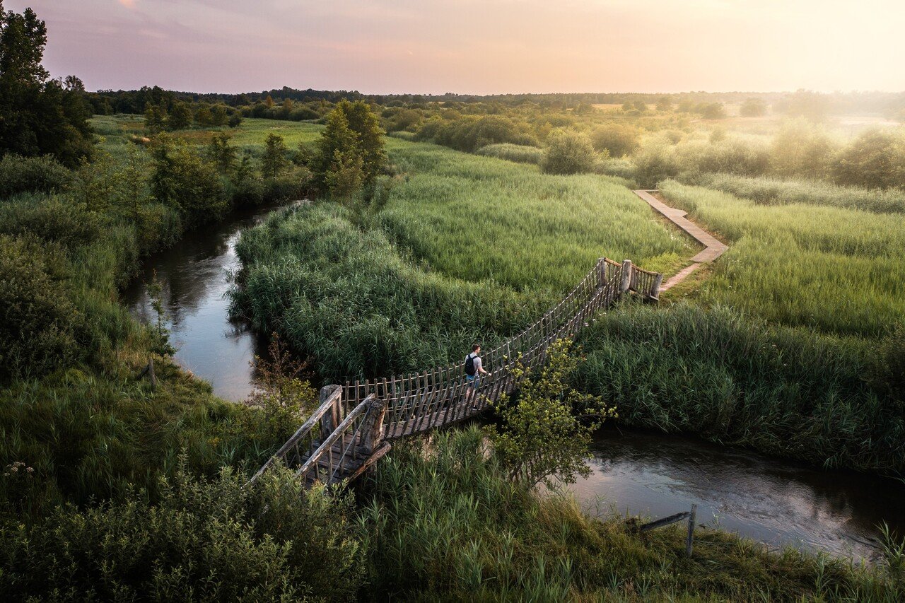Wandelaar op een touwbrug over rivier de Dommel in het groene natuurgebied bij zonsopkomst in Brabant.