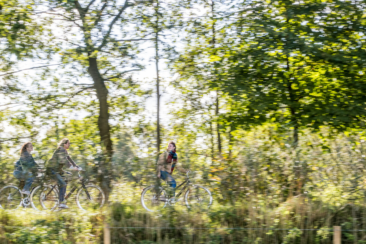 Drie mensen fietsen door een straat in Brabant.