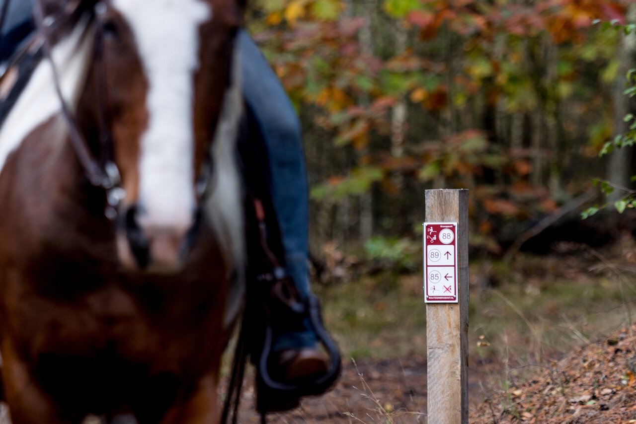 Ruiter te paard passeert knooppuntpaaltje met ruiterroutenetwerk in een bos in Brabant.