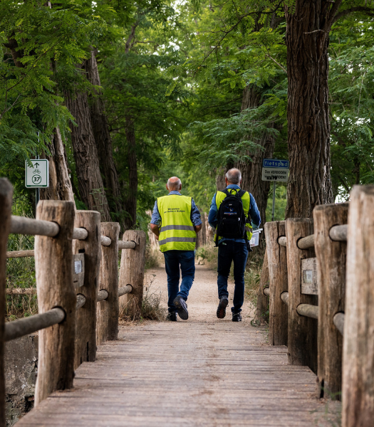 Twee mannen met gele veiligheidsvesten lopen over een houten brug in het groene bos van Brabant, richting fietsroute 37.
