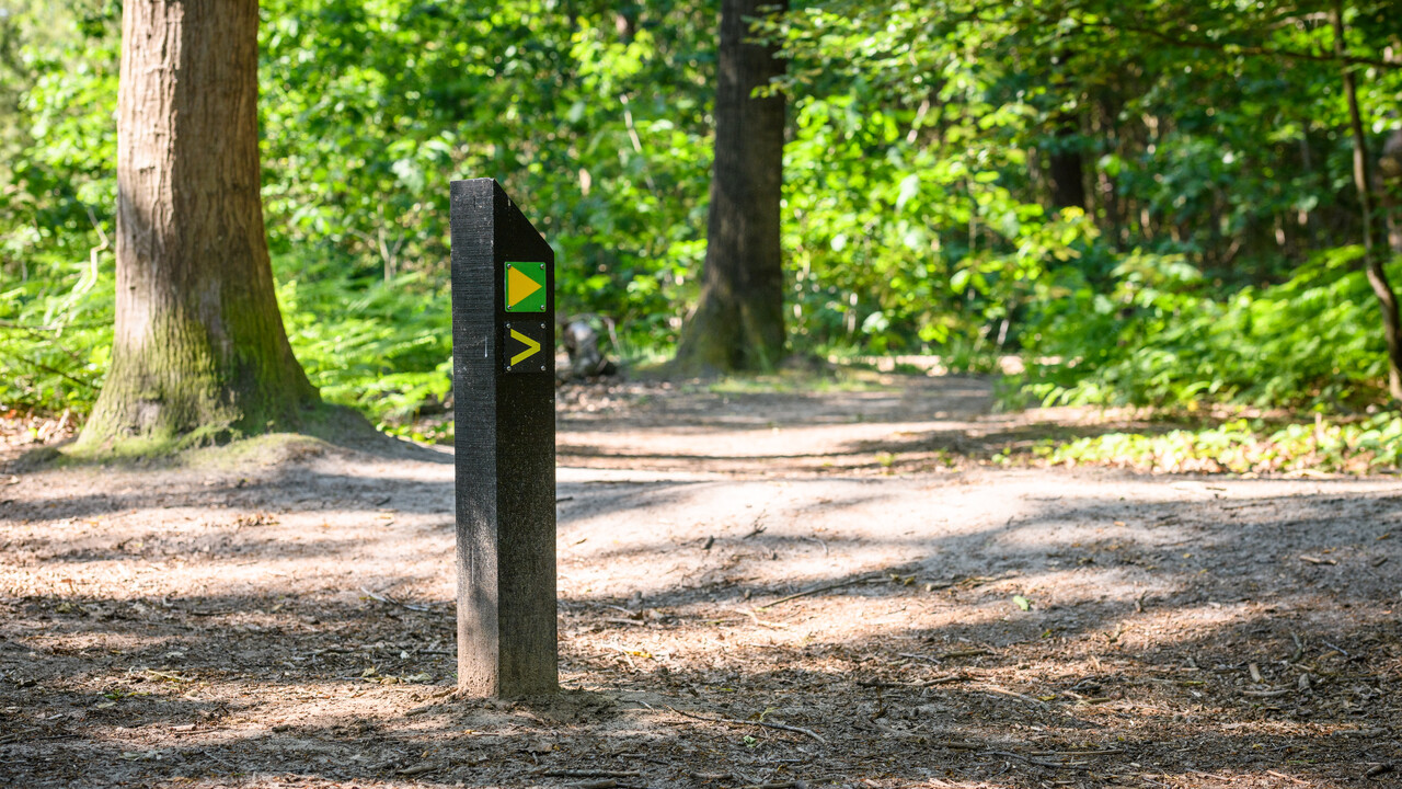 Wandelroutepaaltje met groene en gele markeringen langs een bospad in het Stadsbos in Brabant.