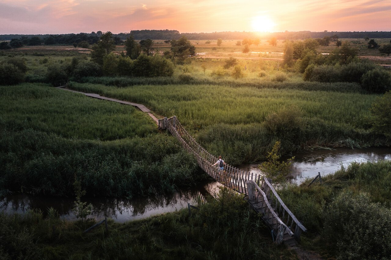 Wandelaar steekt een houten hangbrug over in een groen moerasgebied bij zonsondergang in Brabant.