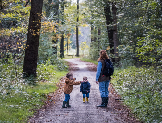 Moeder met twee jonge kinderen wandelt op een bospaadje in Brabant, omringd door groene bomen en herfstbladeren.