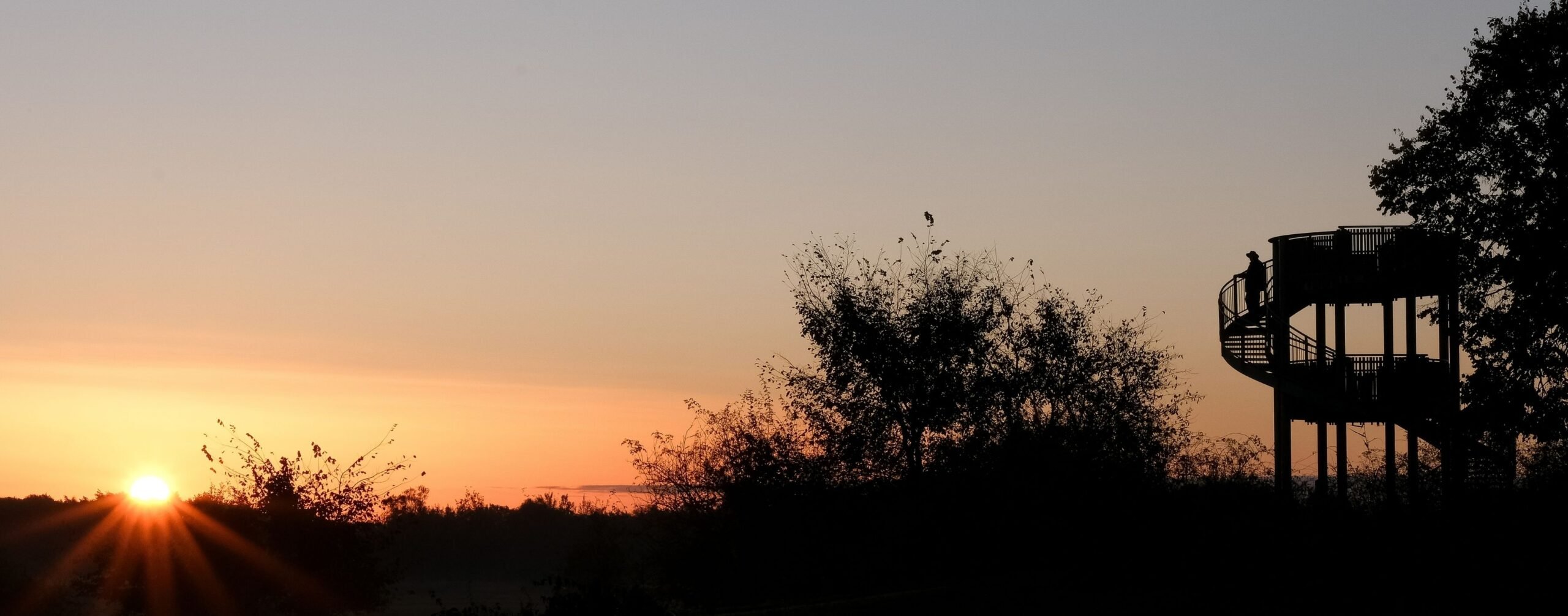 Zonsopkomst bij uitkijktoren in natuurgebied in Brabant, met silhouet van persoon op het platform.