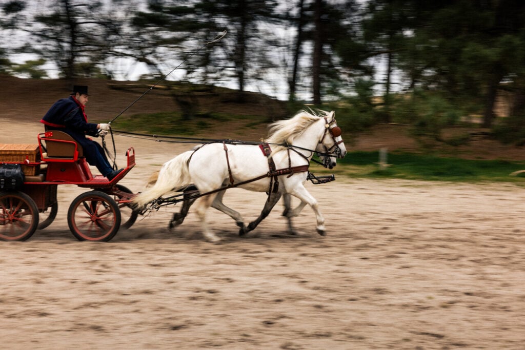 Postkoetsier op zijn postkoets door de duinen.